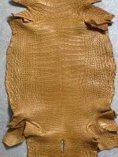 画像3: ナイルクロコ　チェスナッツ　42　ワニ革　クロコダイル革 (3)