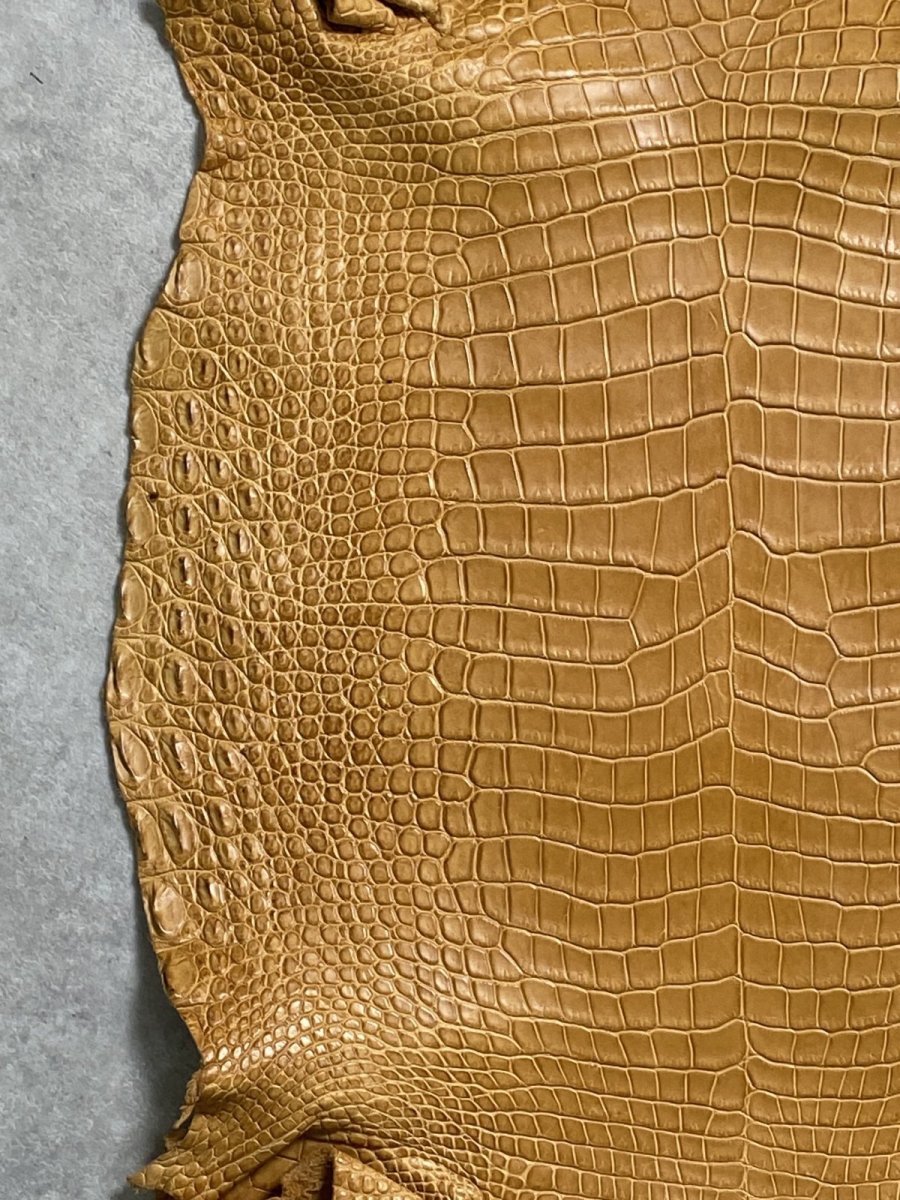 画像4: ナイルクロコ　チェスナッツ　42　ワニ革　クロコダイル革 (4)