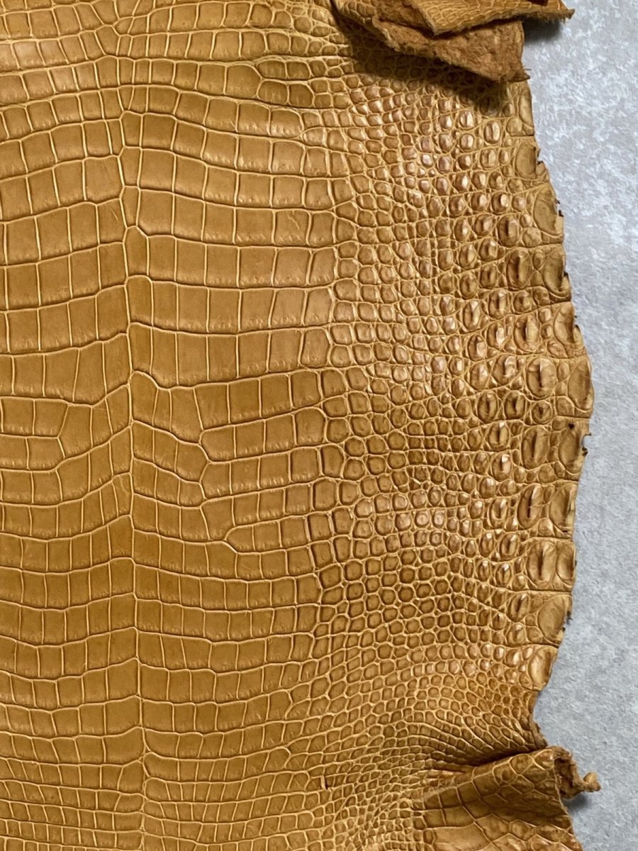 画像5: ナイルクロコ　チェスナッツ　42　ワニ革　クロコダイル革 (5)