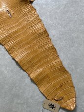 画像6: ナイルクロコ　チェスナッツ　42　ワニ革　クロコダイル革 (6)