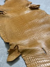 画像7: ナイルクロコ　チェスナッツ　42　ワニ革　クロコダイル革 (7)