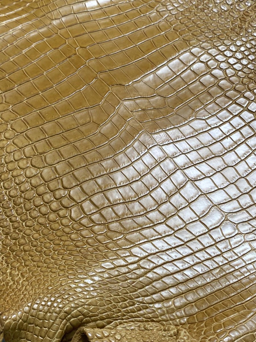画像8: ナイルクロコ　チェスナッツ　42　ワニ革　クロコダイル革 (8)