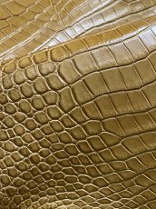 画像9: ナイルクロコ　チェスナッツ　42　ワニ革　クロコダイル革 (9)