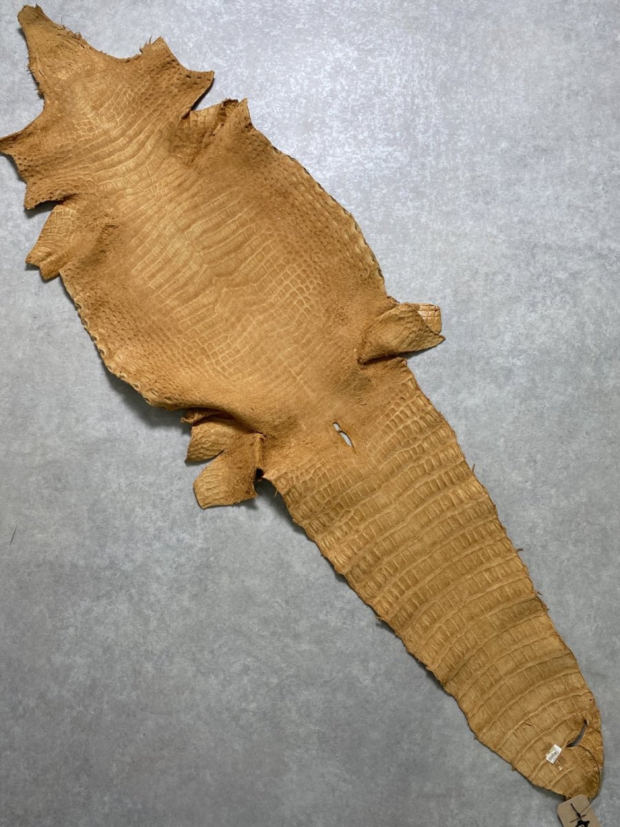 画像10: ナイルクロコ　チェスナッツ　42　ワニ革　クロコダイル革 (10)