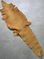 画像10: ナイルクロコ　チェスナッツ　42　ワニ革　クロコダイル革 (10)