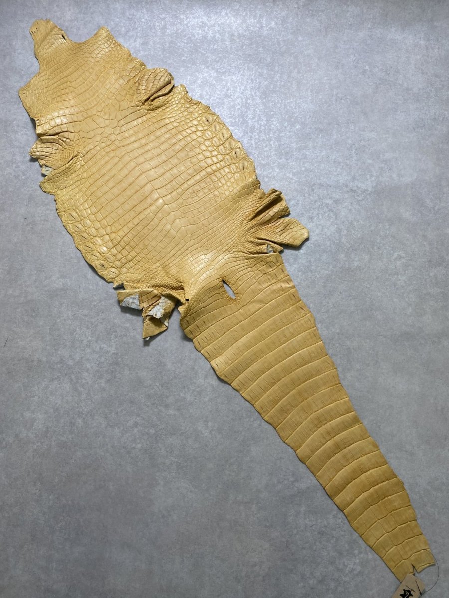 画像1: ナイルクロコ　キャメル　45　ワニ革　クロコダイル革 (1)