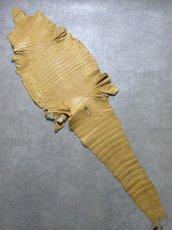 画像1: ナイルクロコ　キャメル　45　ワニ革　クロコダイル革 (1)