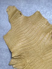 画像2: ナイルクロコ　キャメル　45　ワニ革　クロコダイル革 (2)