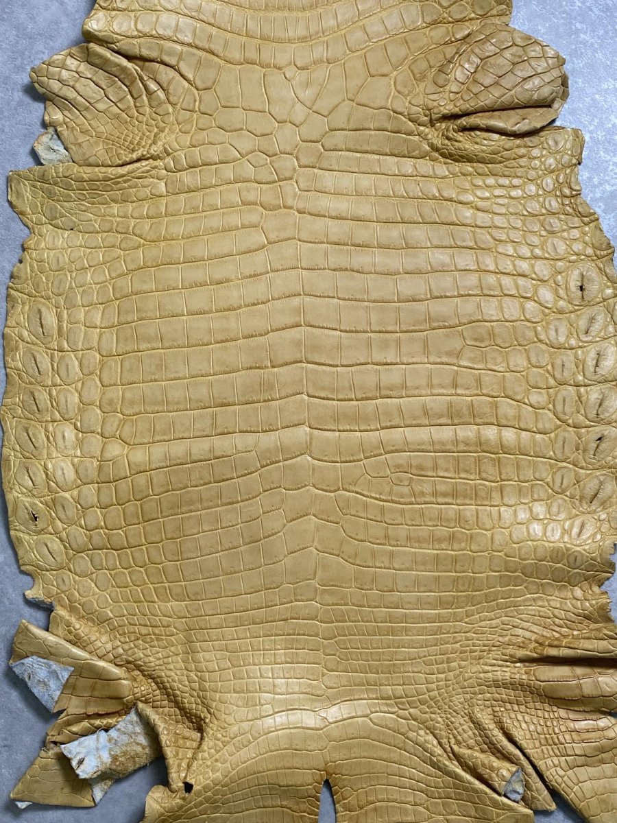画像3: ナイルクロコ　キャメル　45　ワニ革　クロコダイル革 (3)
