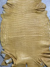 画像3: ナイルクロコ　キャメル　45　ワニ革　クロコダイル革 (3)