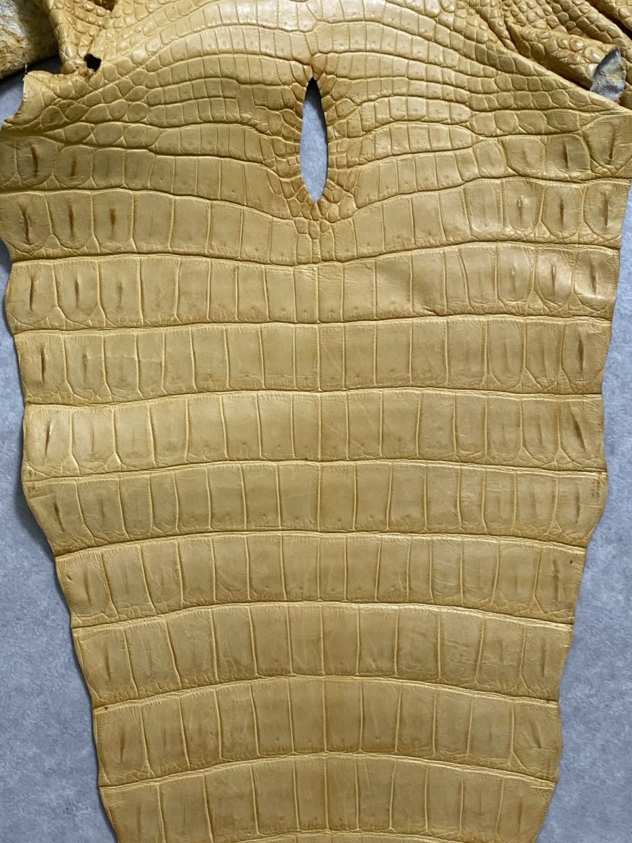 画像6: ナイルクロコ　キャメル　45　ワニ革　クロコダイル革 (6)