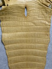 画像6: ナイルクロコ　キャメル　45　ワニ革　クロコダイル革 (6)