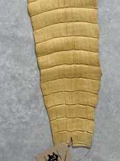 画像7: ナイルクロコ　キャメル　45　ワニ革　クロコダイル革 (7)