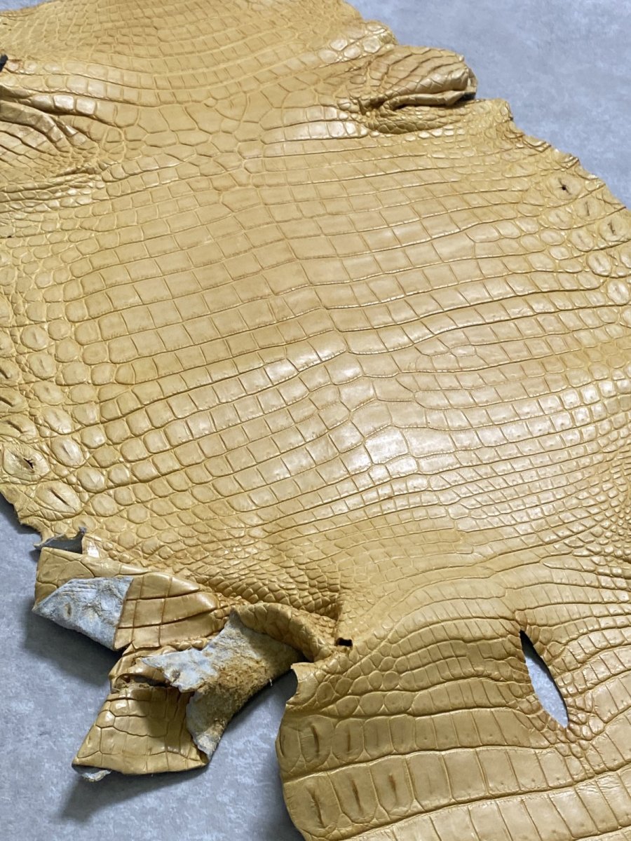 画像8: ナイルクロコ　キャメル　45　ワニ革　クロコダイル革 (8)