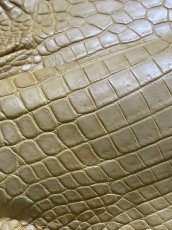 画像9: ナイルクロコ　キャメル　45　ワニ革　クロコダイル革 (9)