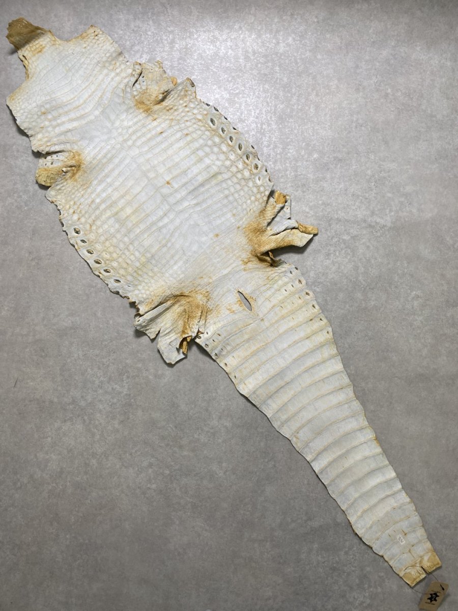 画像10: ナイルクロコ　キャメル　45　ワニ革　クロコダイル革 (10)