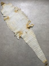 画像10: ナイルクロコ　キャメル　45　ワニ革　クロコダイル革 (10)