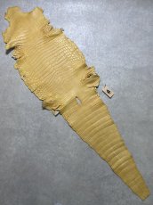 画像1: ナイルクロコ　キャメル　42　ワニ革　クロコダイル革 (1)