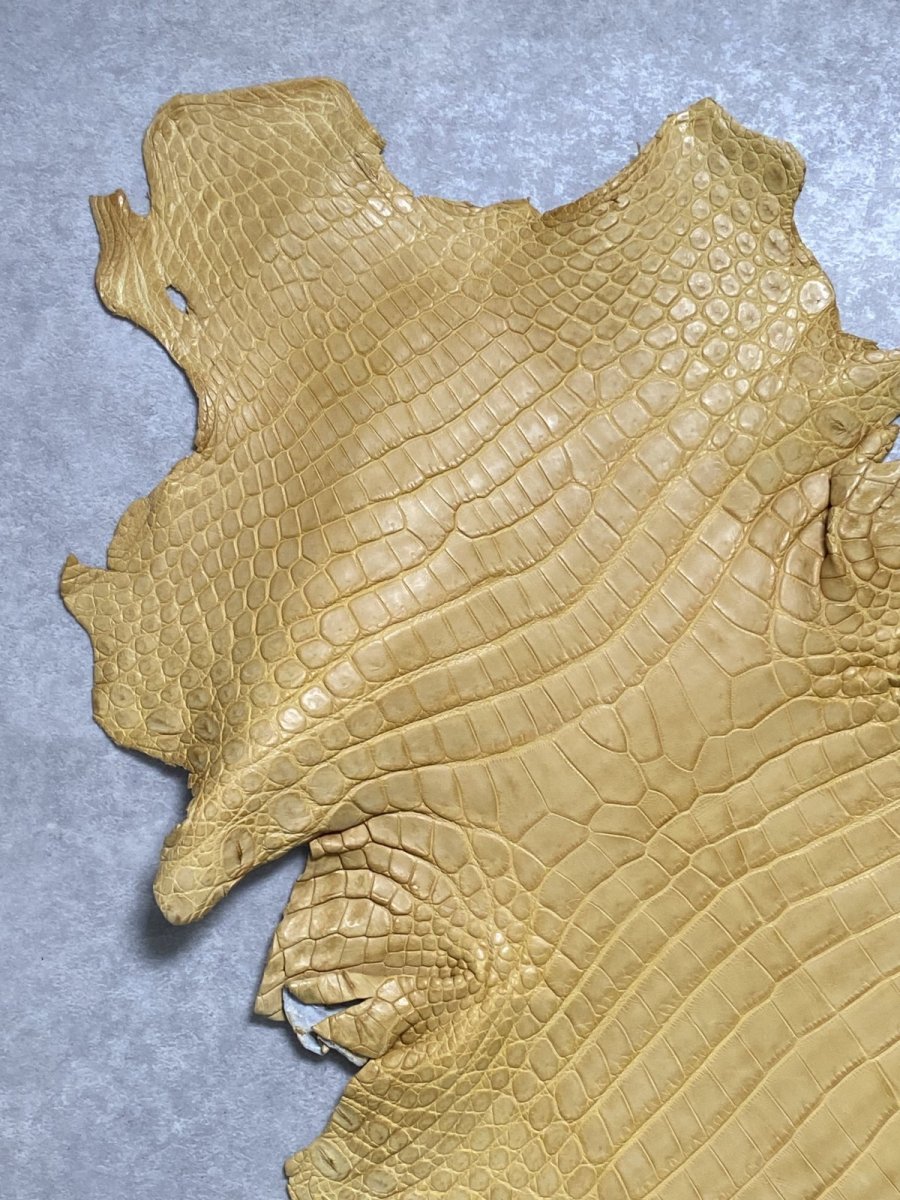 画像2: ナイルクロコ　キャメル　42　ワニ革　クロコダイル革 (2)