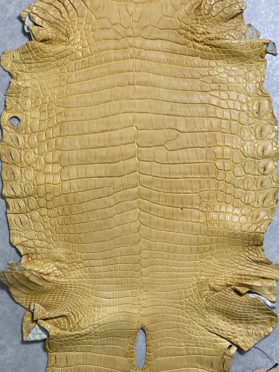 画像3: ナイルクロコ　キャメル　42　ワニ革　クロコダイル革 (3)