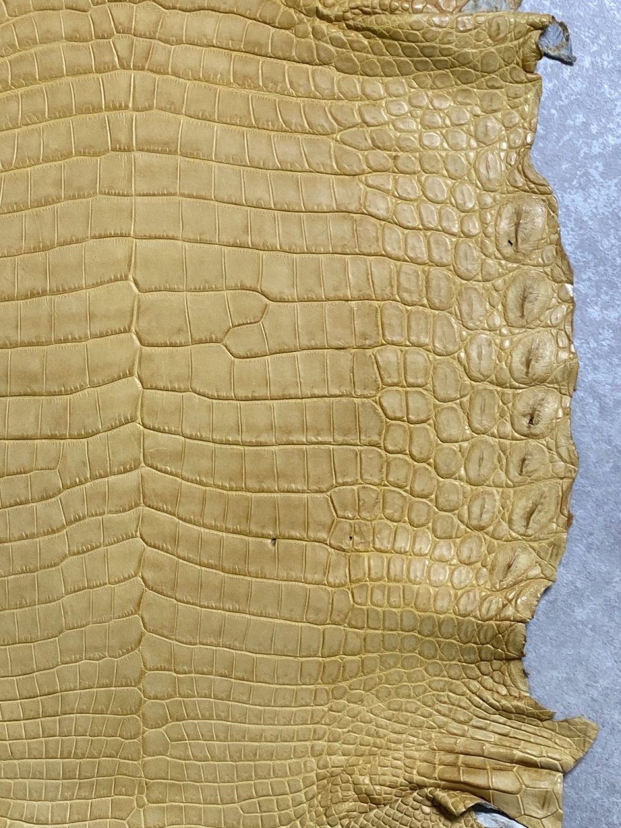 画像5: ナイルクロコ　キャメル　42　ワニ革　クロコダイル革 (5)