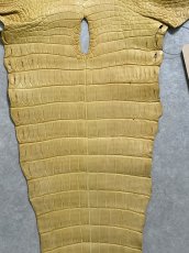 画像6: ナイルクロコ　キャメル　42　ワニ革　クロコダイル革 (6)