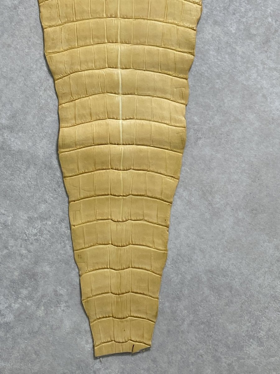 画像7: ナイルクロコ　キャメル　42　ワニ革　クロコダイル革 (7)