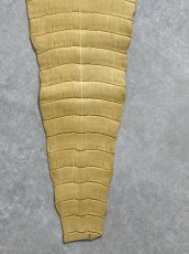 画像7: ナイルクロコ　キャメル　42　ワニ革　クロコダイル革 (7)