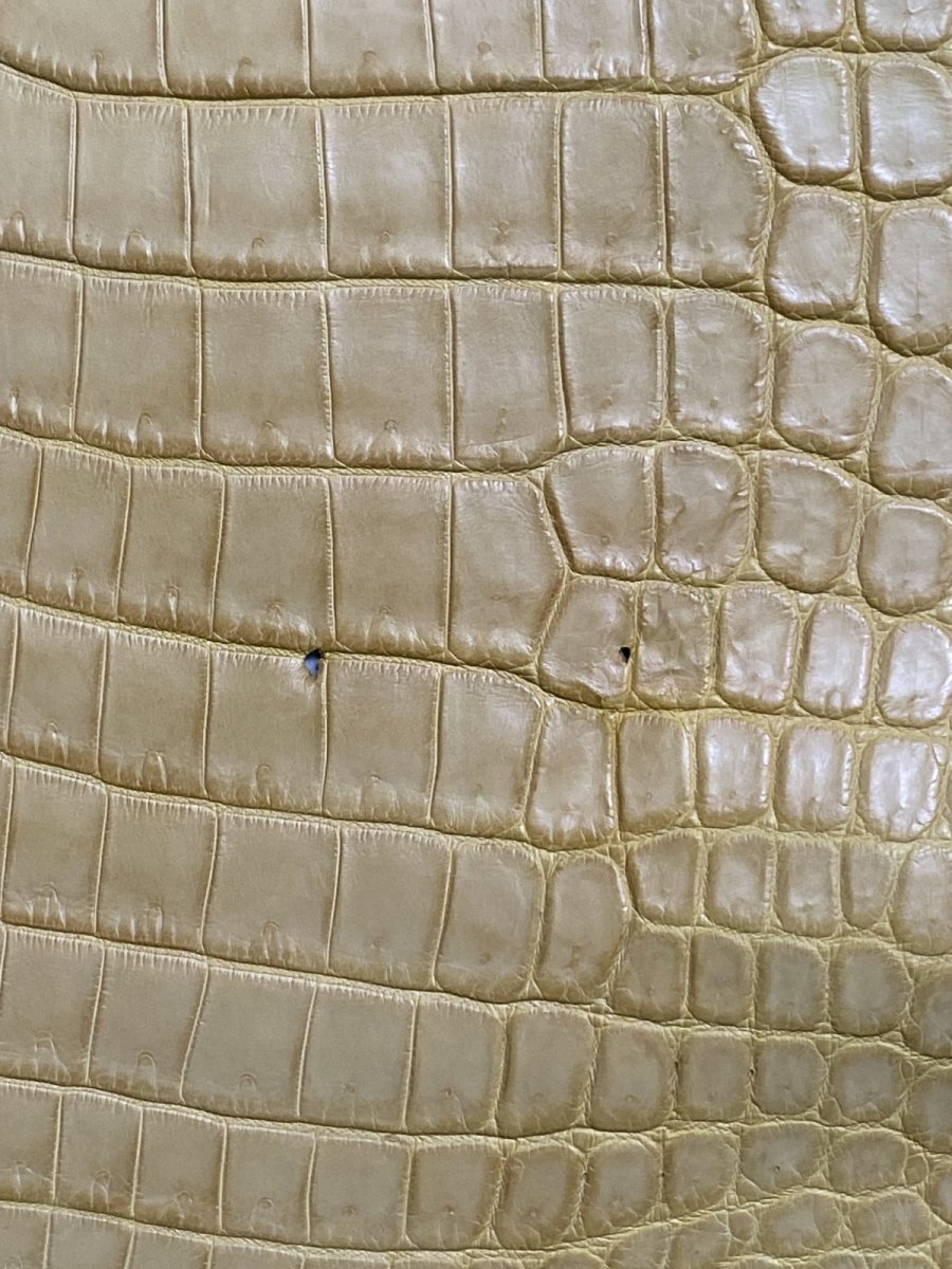 画像10: ナイルクロコ　キャメル　42　ワニ革　クロコダイル革 (10)