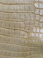 画像10: ナイルクロコ　キャメル　42　ワニ革　クロコダイル革 (10)