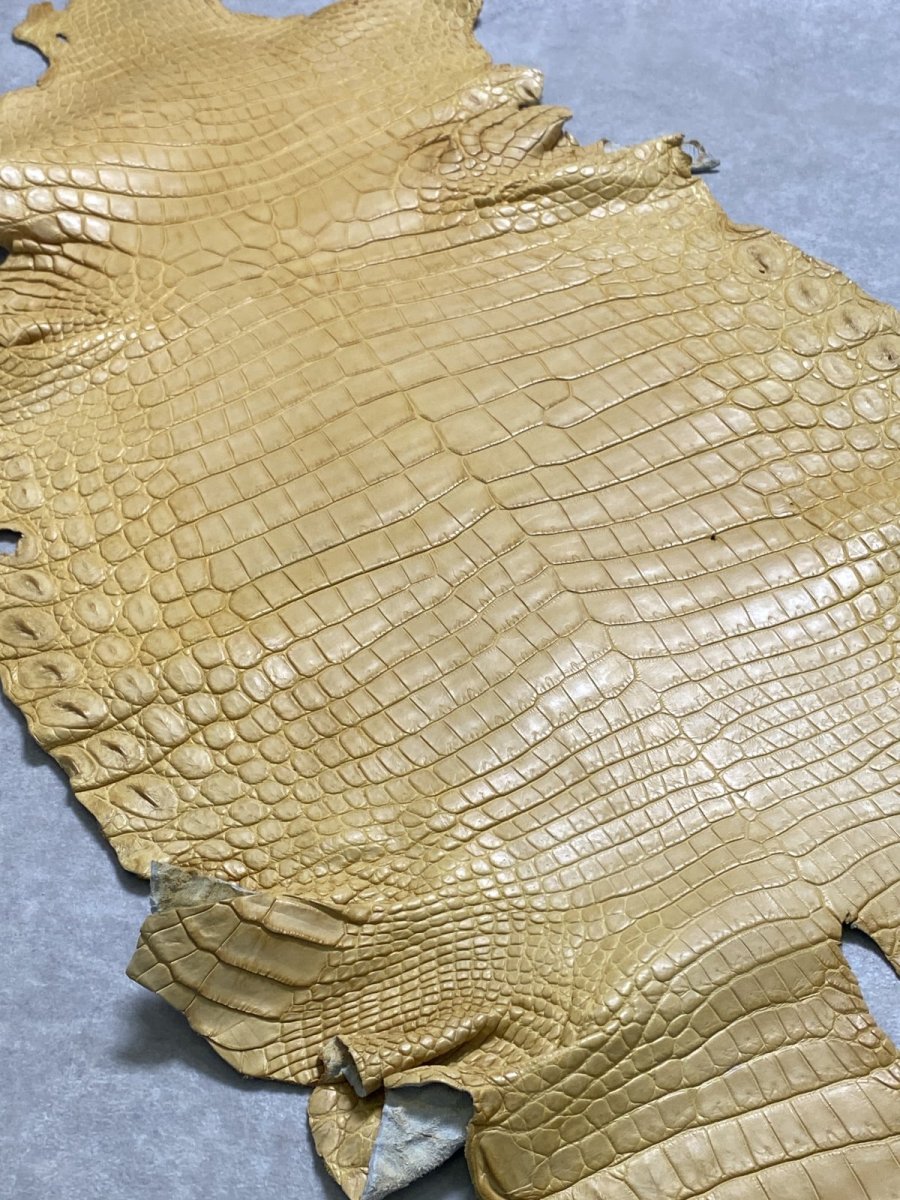画像8: ナイルクロコ　キャメル　42　ワニ革　クロコダイル革 (8)
