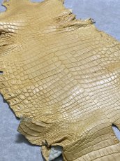 画像8: ナイルクロコ　キャメル　42　ワニ革　クロコダイル革 (8)