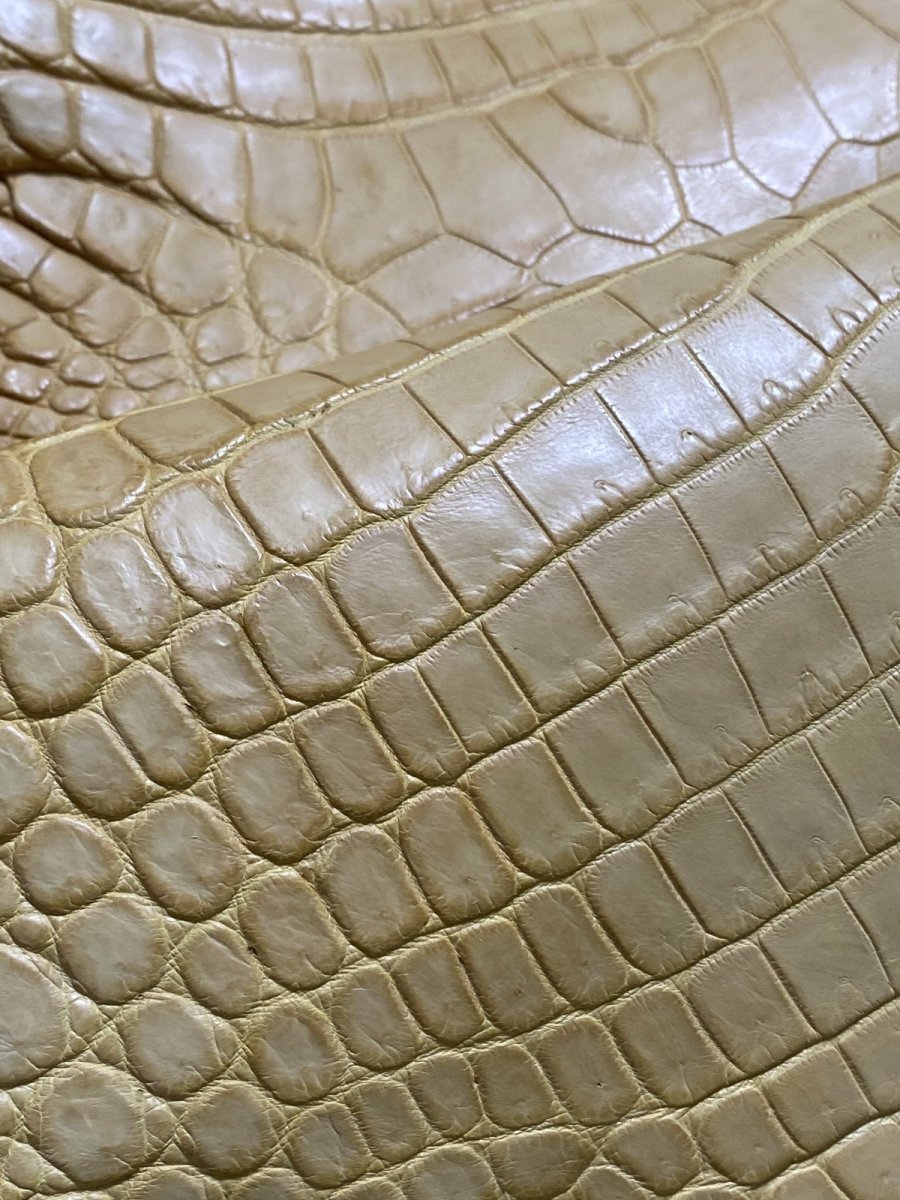 画像9: ナイルクロコ　キャメル　42　ワニ革　クロコダイル革 (9)