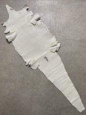 画像1: ナイルクロコ　ホワイト　ツヤ有り　41　ワニ革　クロコダイル革 (1)