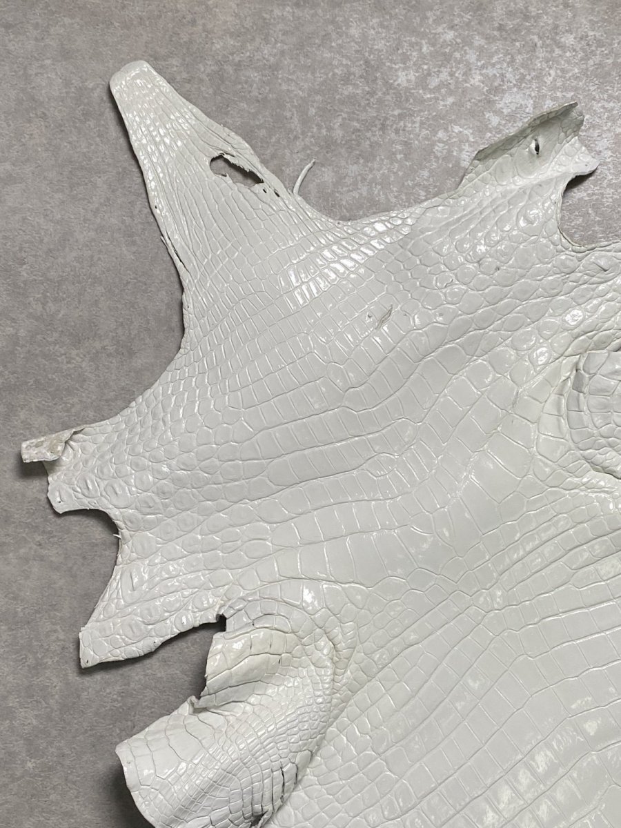 画像2: ナイルクロコ　ホワイト　ツヤ有り　41　ワニ革　クロコダイル革 (2)