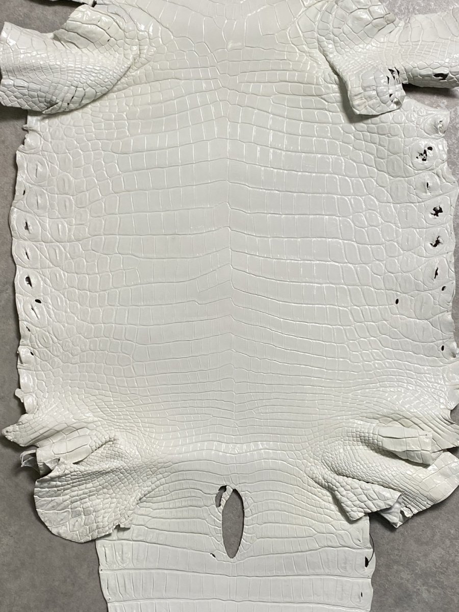画像3: ナイルクロコ　ホワイト　ツヤ有り　41　ワニ革　クロコダイル革 (3)