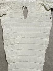 画像6: ナイルクロコ　ホワイト　ツヤ有り　41　ワニ革　クロコダイル革 (6)