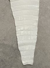 画像7: ナイルクロコ　ホワイト　ツヤ有り　41　ワニ革　クロコダイル革 (7)