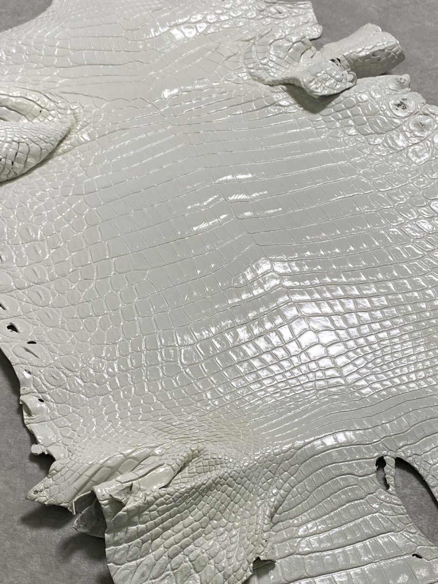 画像8: ナイルクロコ　ホワイト　ツヤ有り　41　ワニ革　クロコダイル革 (8)