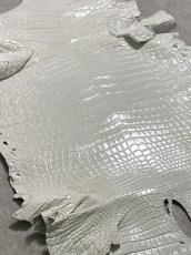 画像8: ナイルクロコ　ホワイト　ツヤ有り　41　ワニ革　クロコダイル革 (8)