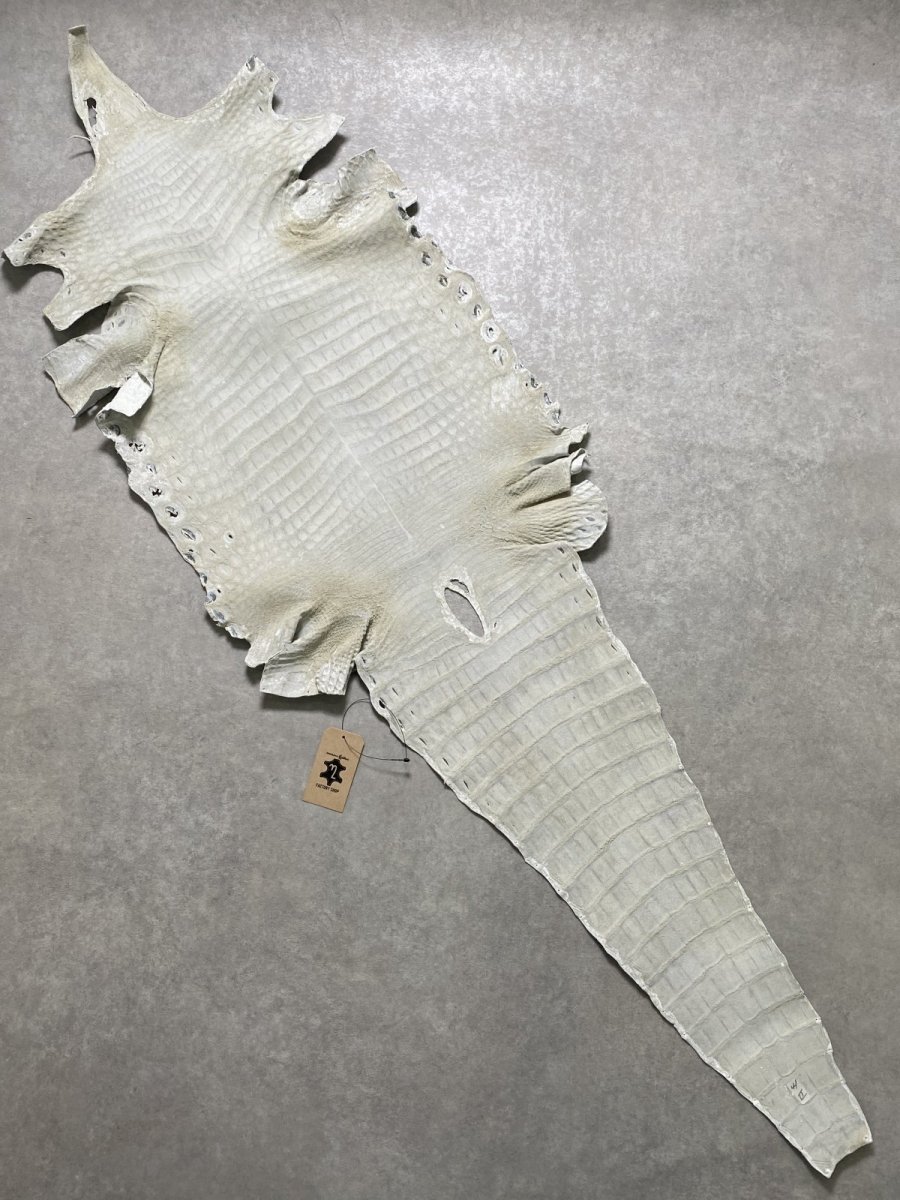 画像10: ナイルクロコ　ホワイト　ツヤ有り　41　ワニ革　クロコダイル革 (10)