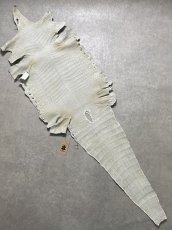 画像10: ナイルクロコ　ホワイト　ツヤ有り　41　ワニ革　クロコダイル革 (10)