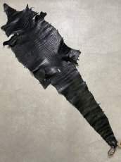 画像1: スモールクロコダイル　ブラック　42　ポロサス　ワニ革　クロコダイル革　 (1)