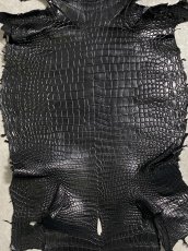 画像3: スモールクロコダイル　ブラック　42　ポロサス　ワニ革　クロコダイル革　 (3)