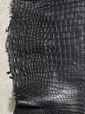 画像4: スモールクロコダイル　ブラック　42　ポロサス　ワニ革　クロコダイル革　 (4)