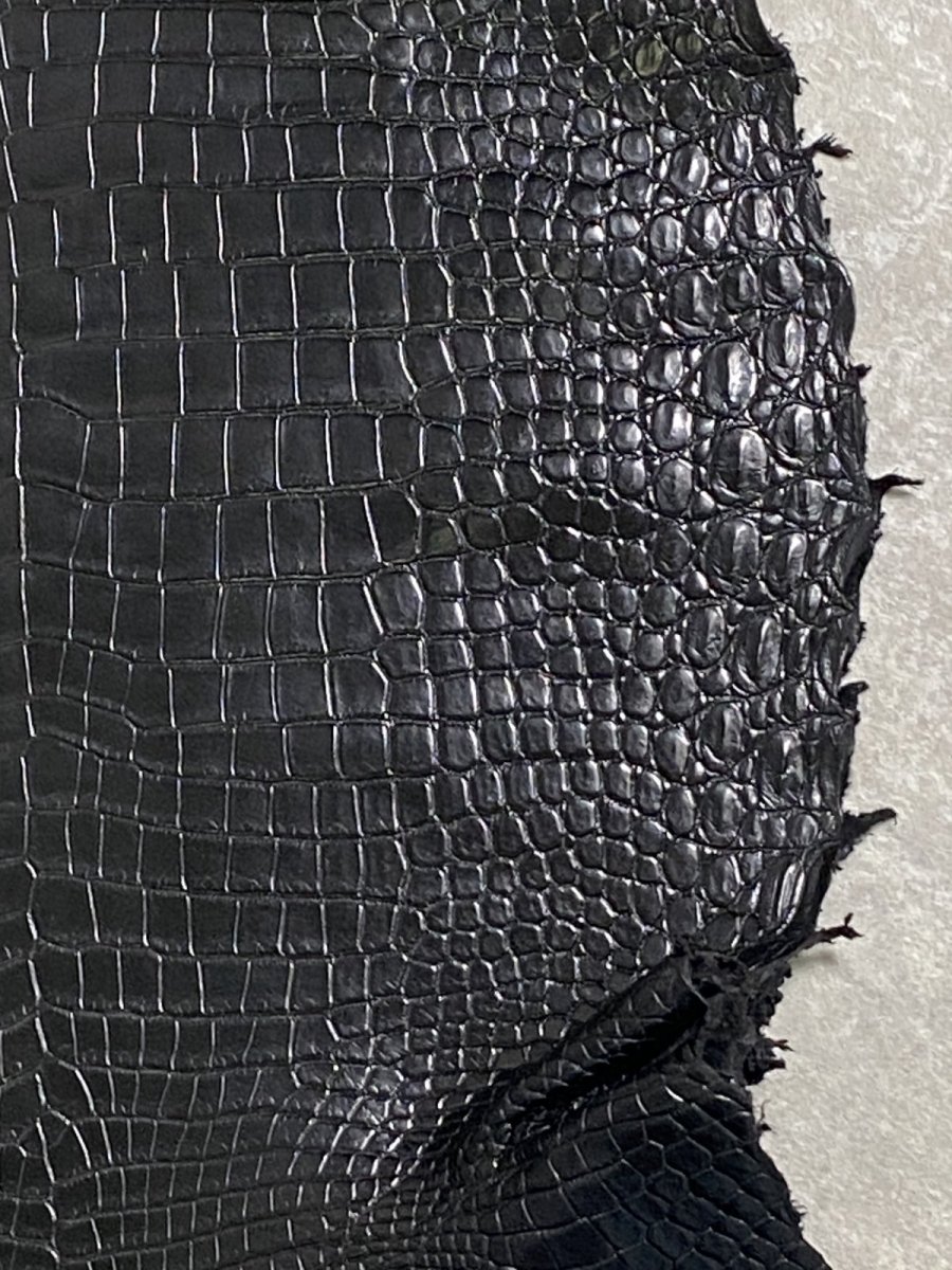 画像5: スモールクロコダイル　ブラック　42　ポロサス　ワニ革　クロコダイル革　 (5)