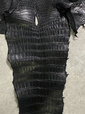 画像6: スモールクロコダイル　ブラック　42　ポロサス　ワニ革　クロコダイル革　 (6)