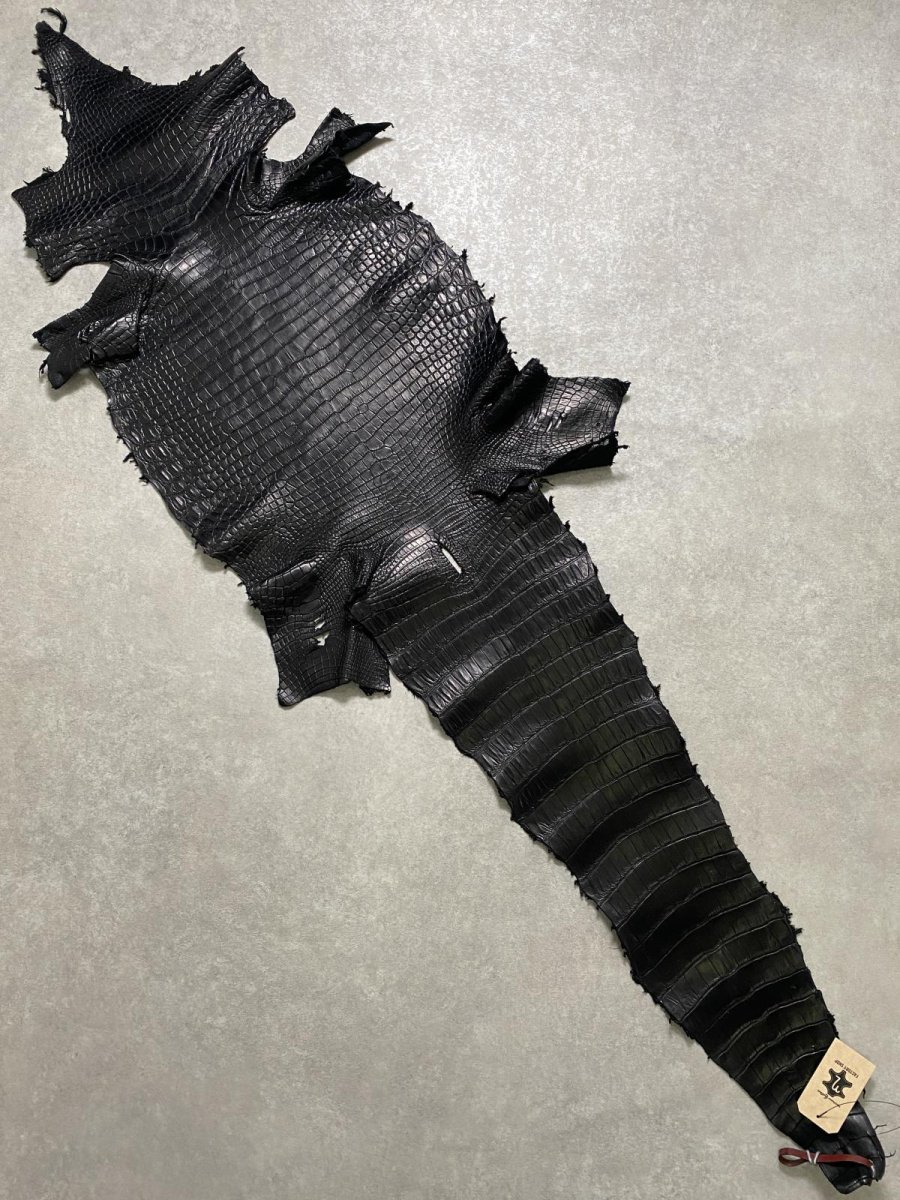 画像1: スモールクロコダイル　ブラック　40　ポロサス　ワニ革　クロコダイル革　 (1)