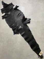 画像1: スモールクロコダイル　ブラック　40　ポロサス　ワニ革　クロコダイル革　 (1)