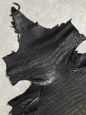 画像2: スモールクロコダイル　ブラック　40　ポロサス　ワニ革　クロコダイル革　 (2)